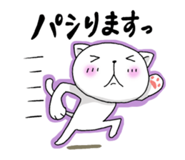 7338017