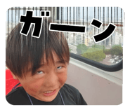 733801907