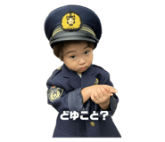 733806661