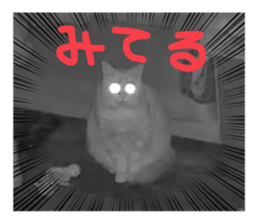 733811678