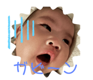 733832086