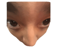 733857554