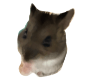 733857555