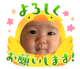 733866355