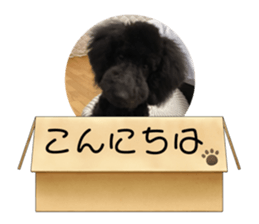 733866430