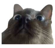 733889160