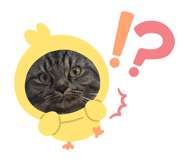 733889421