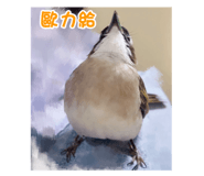 733890637