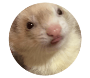 733897726