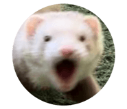 733897736
