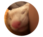 733897737