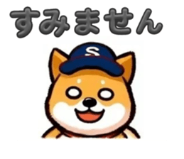 733902543