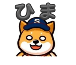 733902554