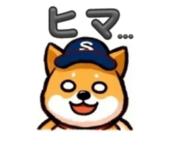 733902555