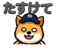 733902557