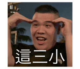 733907913