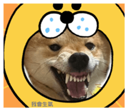 733918142