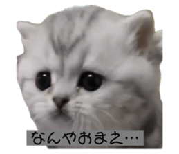 733929265