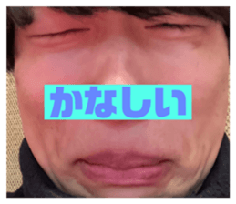 733973258