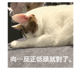 733974937