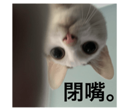 733974940