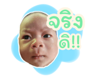 733985156