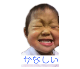 733987004
