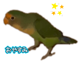 733988125