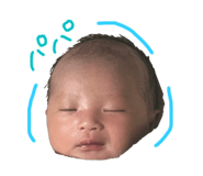 733990153