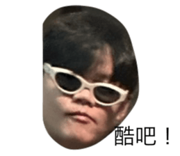 733993733