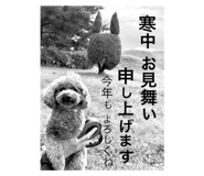 733995167