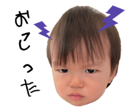 733996677