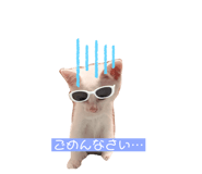 733999661