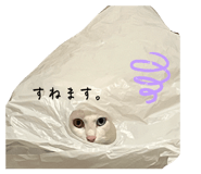 733999662