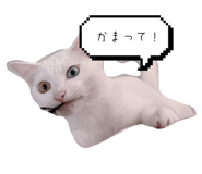 733999668