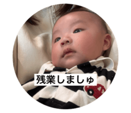734007650