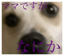 734009926