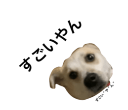 734009932