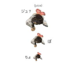 734023941