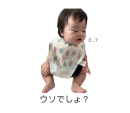 734023954