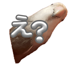 734024794