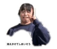 734145867