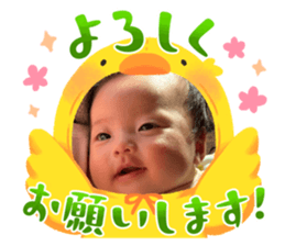 734150540