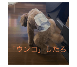 734154872