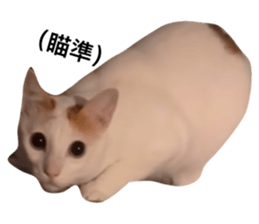 734156997