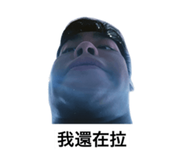734208202