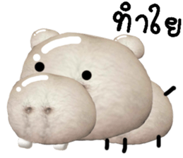 734255657