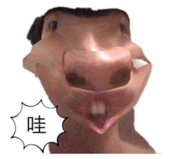 734290858