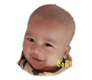 734294358