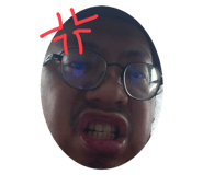 734297300